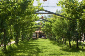 Гостиница Hostería - Bodega Valle Divino  Valle de Concepción